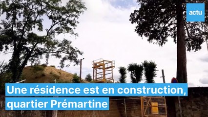 Au Mans, un chantier menace ce séquoia centenaire