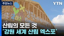 산림의 모든 것...'강원 세계 산림 엑스포' 개막 / YTN