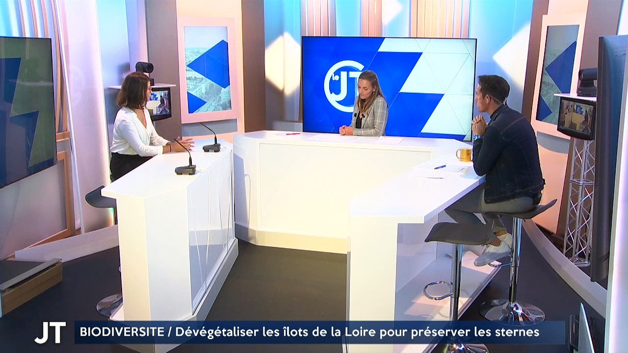 BIODIVERSITE / Dévégétaliser les îlots de la Loire pour préserver les sternes