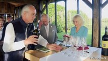 Carlo e Camilla a Bordeaux tra vigne, lama e degustazioni di vini