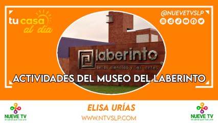 Actividades del Museo del Laberinto