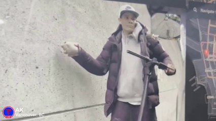 Smash and Grab Thief Caught on Tesla Sentry Mode | TeslaCam Live