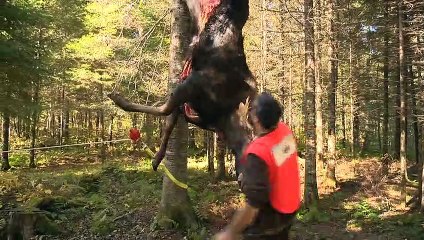 ED 22 sep TOPO chasse 2023