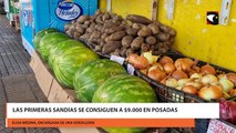 Las primeras sandías se consiguen a $9.000 en posadas