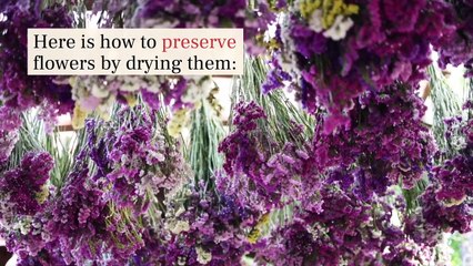 4 Ways To Dry Flowers To Preserve Their Beauty