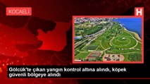 Gölcük'te çıkan yangın kontrol altına alındı, köpek güvenli bölgeye alındı