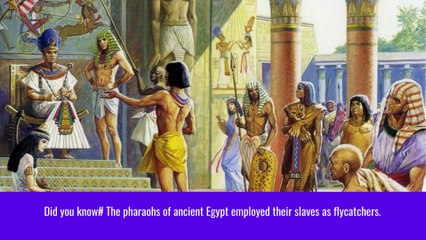 weird and unique facts you probably never knew before #16