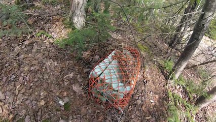 Auto Alma Dam-en-Terre Squatteur 3 Mai 2023