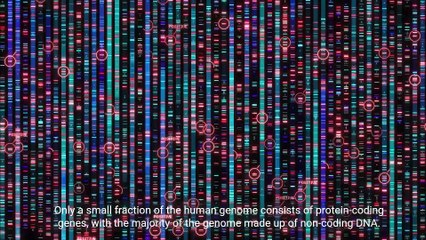 Decoding the Human Genome - Unraveling the Blueprint of Life