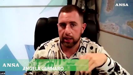 Cbd nella tabella stupefacenti. "Regalo alle case farmaceutiche"