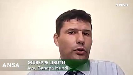 Decreto anti-cbd, il legale: "Mette l'Italia a rischio d'infrazione europea"