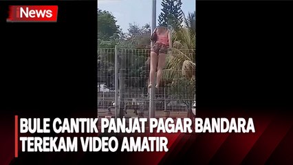 Viral!  Bule Cantik Panjat Pagar Bandara Ngurah Rai Bali