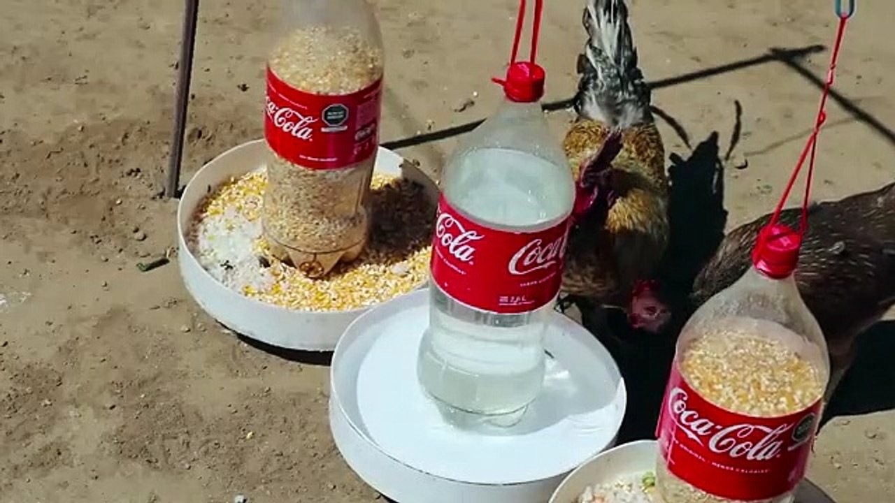 How to make a drinker and feeder for chickens with recycled coke bottles.| Amazing idea To Make Outdoor Chicken Cage