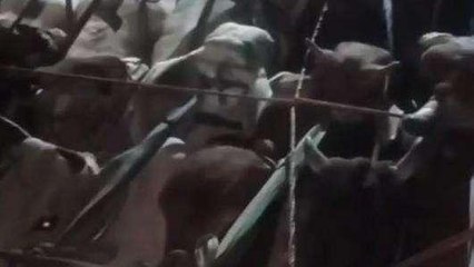 पटना: एक ट्रक मवेशी से भरा जब्त, चालक सहित कई लोग गिरफ्तार