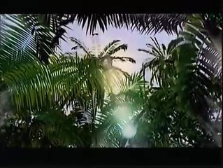 Cóndor Crux Bande-annonce (EN)