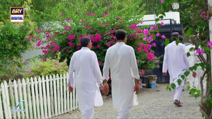 Mere Humsafar Episode 30 | Emotional Pakistani Drama with English Subtitles 🌟