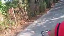 short rides