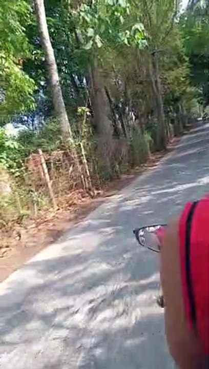 short rides