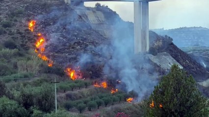 Incendio a Balestrate, nella zona di Madonna del Ponte