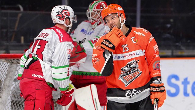 Sheffield Steelers - Interview with new captain, Robert Dowd