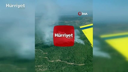 Kütahya'da orman yangını