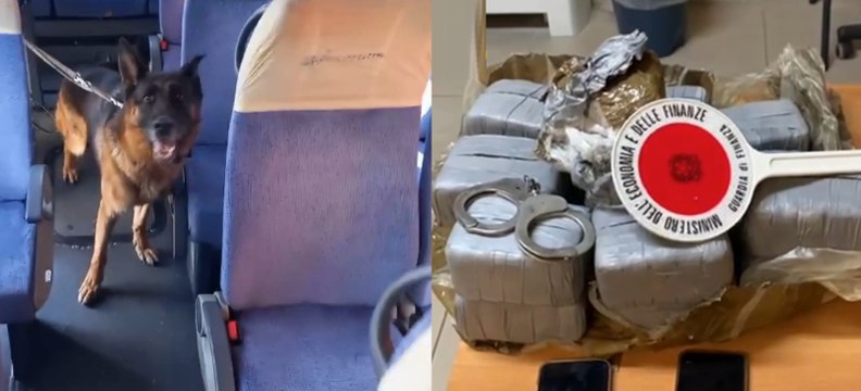 Hashish da Milano alla Sicilia su un bus di linea: il cane-finanziere Edipo fa arrestare corriere (23.09.23)