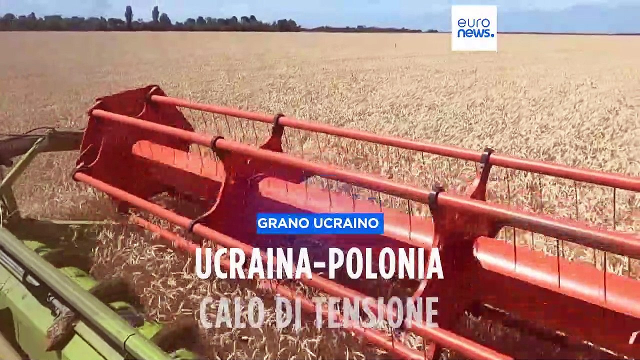 Grano ucraino: Polonia pronta ai negoziati, se l'Ucraina ritira la denuncia