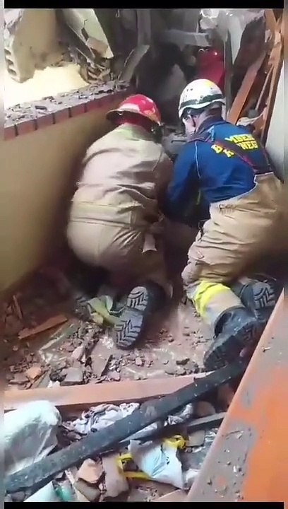 Cadela desapareceu após explosão de armazém de...