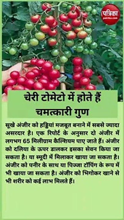 सेहत के लिए चमत्कारी है चेरी टमाटर, हार्ट सहित...