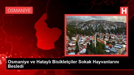 Osmaniye ve Hataylı Bisikletçiler Sokak Hayvanlarını Besledi