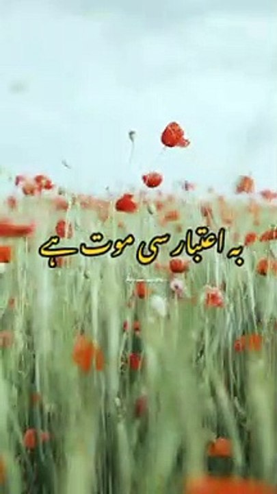 Mat Kiya kar itnai gunnah || Islamic status || Urdu status