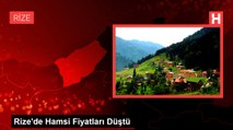 Rize'de Hamsi Fiyatları Düştü