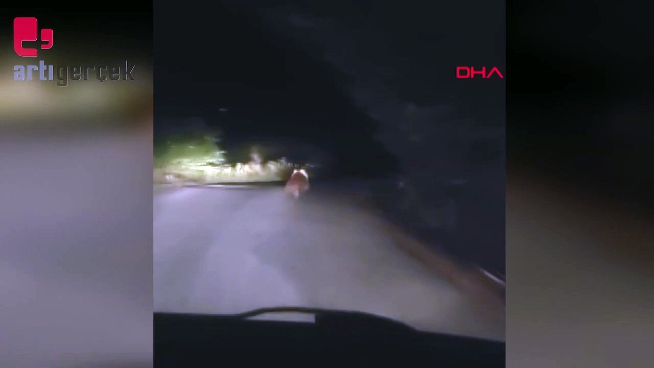Köy yolunda otomobilin önüne ayı çıktı
