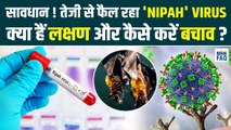 सावधान ! तेजी से फैल रहा Nipah Virus क्या हैं लक्षण और कैसे करें बचाव ? #nipahvirus #nipahvirusvideo