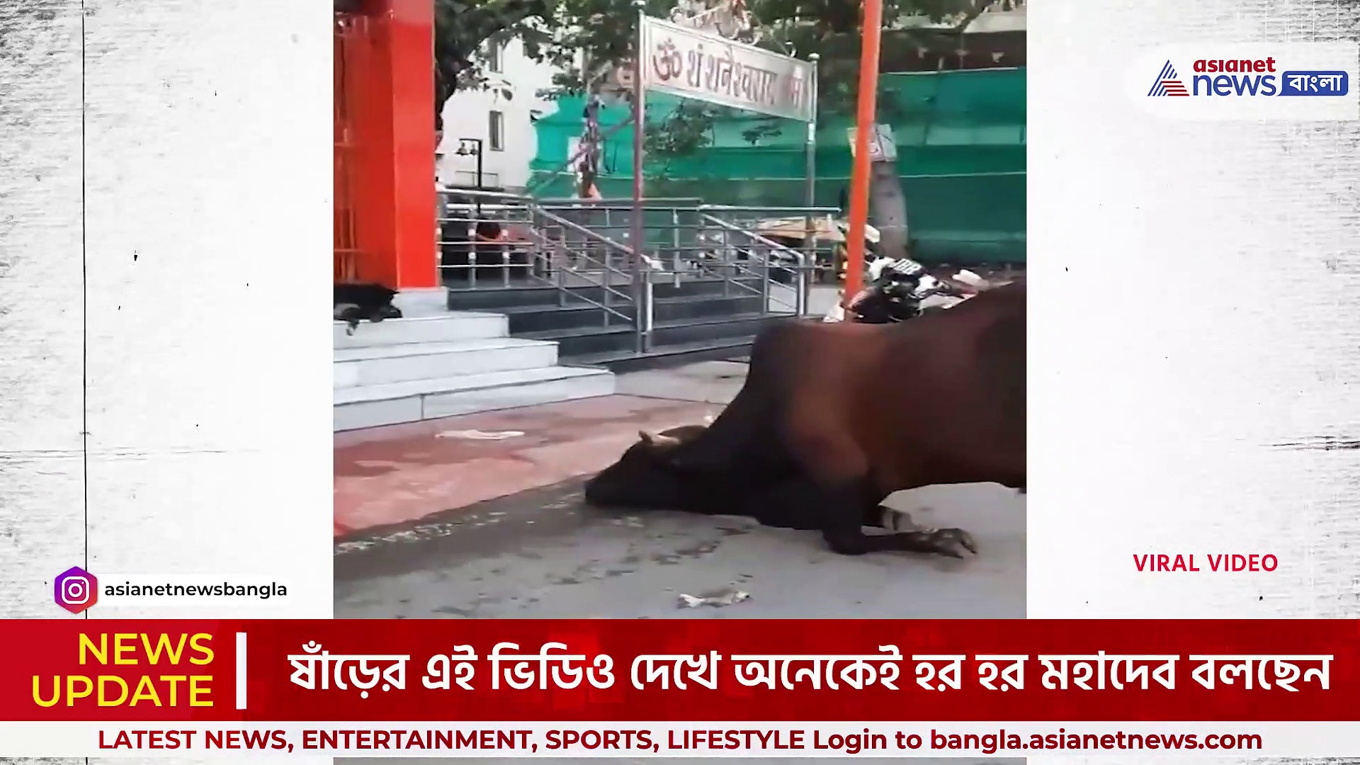 Viral Video : ভগবান শিবের মন্দিরে এসে ষাঁড়ের প্রণাম! ভিডিও দেখলে আপনিও বলবেন 'হর হর মহাদেব'