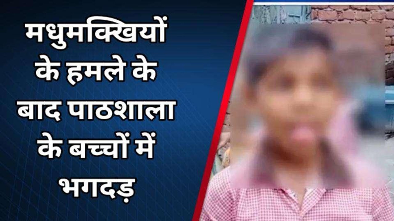 मेरठ: मधुमक्खियों के हमले के बाद प्राइमरी पाठशाला में मची भगदड़, कई छात्र घायल