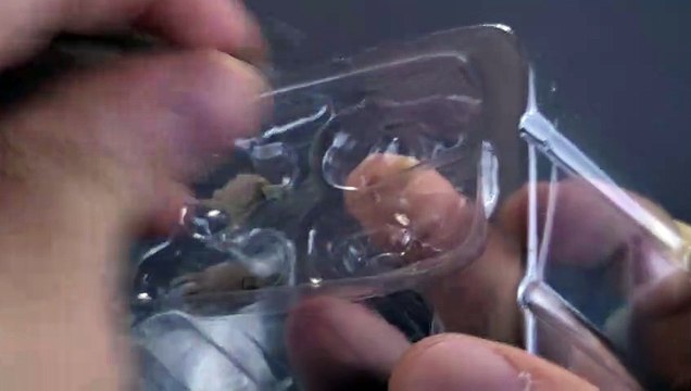 NECA Universal Monsters The Phantom of the Opera Colorized Version