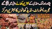 Hujra Restaurant Dubai - Peshawar Or Namak Mandi Ke Khane Ab Dubai Pahunch Gaye