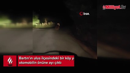 Bartın'da yola inen ayı böyle görüntülendi