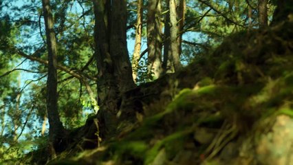 L'irréel Incroyables témoignages S03E03 - Un présent maudit