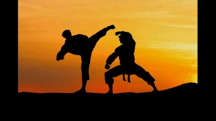 2. Shorin-Ryu Karate