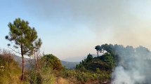 In fiamme ettari di macchia mediterranea sulle colline del Tirreno cosentino