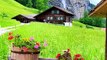 -- Beautiful Nature Of Switzerland --Beautiful Swiss Nature Relaxing Music Video _short 3(360P)