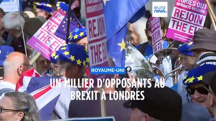 Rejoindre l'Union européenne, le rêve des manifestants à Londres