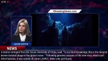 New virus discovered in Pacific is deepest ever found in Earth's oceans - 1BREAKINGNEWS.COM
