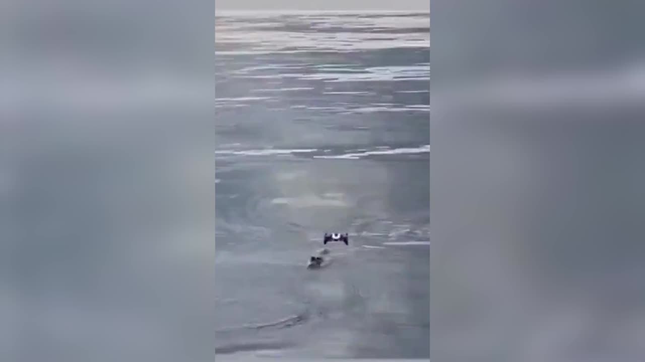 Un caimán salta del agua y se devora un dron que sobrevolaba muy cerca de él.