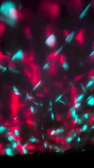 How To Cleaning a Bailey’s House Homestead, FL a After 2023