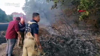 Silivri'de ağaçlara sıçrayan yangın büyümeden söndürüldü