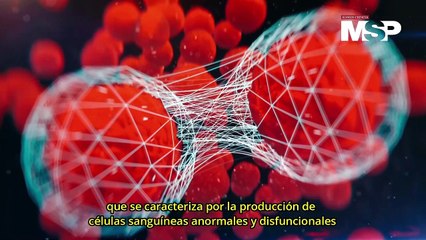 Día Mundial de la Leucemia: ¿Cómo funciona?