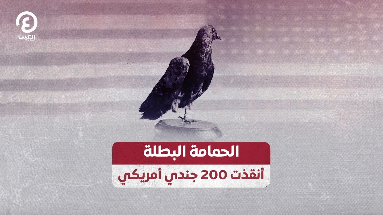 الحمامة البطلة أنقذت 200 جندي أمريكي